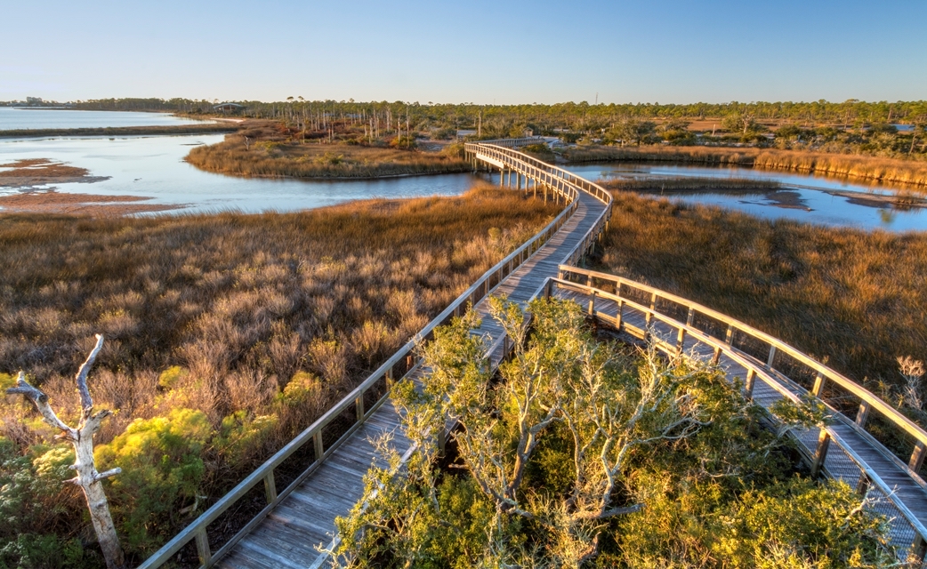 A trail along Perdido Key beach